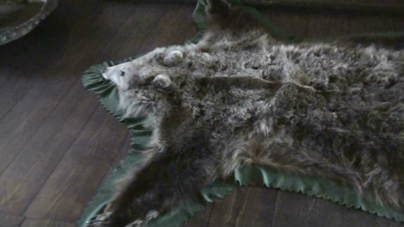 A bear that sacrificed his life to be a rug!