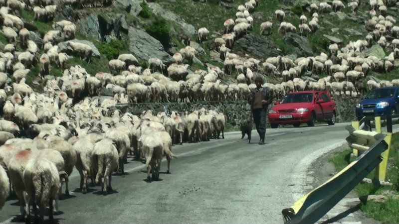 NZ traffic jam at the bottom of the mountain road