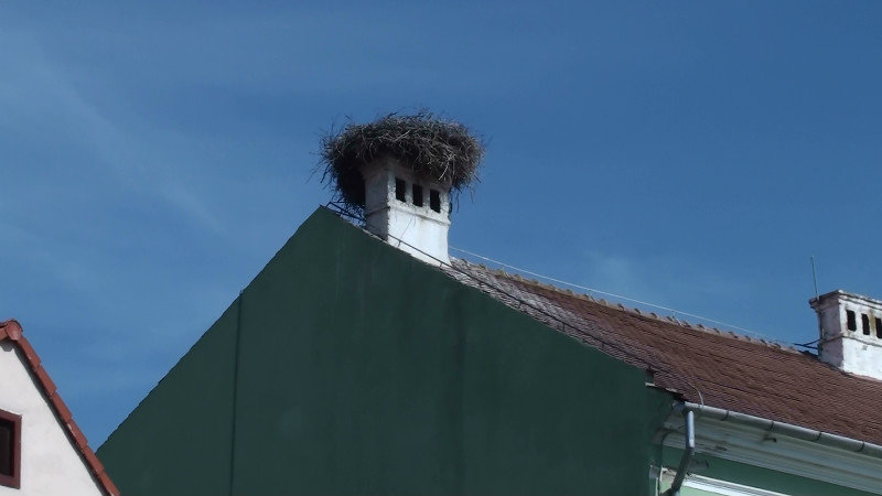 Empty nest?No,the stork had left to get food for the chicks