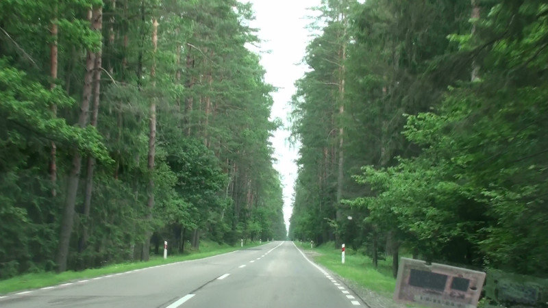 Straight road through the forest near Polish/Lithuania border