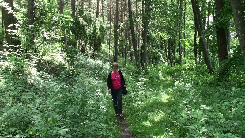 A walk in the forest by the lake