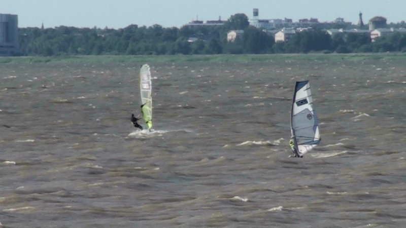 Wind surfing in the fresh breeze