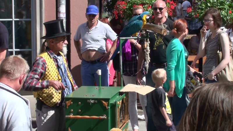 Organ grinder(yes we are wondering what the guy in the backgound with his shirt up over his stomach is doing)