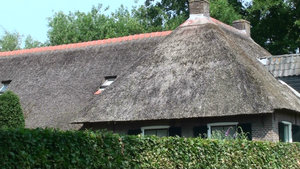 All the houses on the canals had thatched roofs