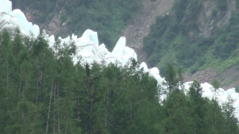 Jagged glacier above the trees on the French side of the Mont Blanc tunnel