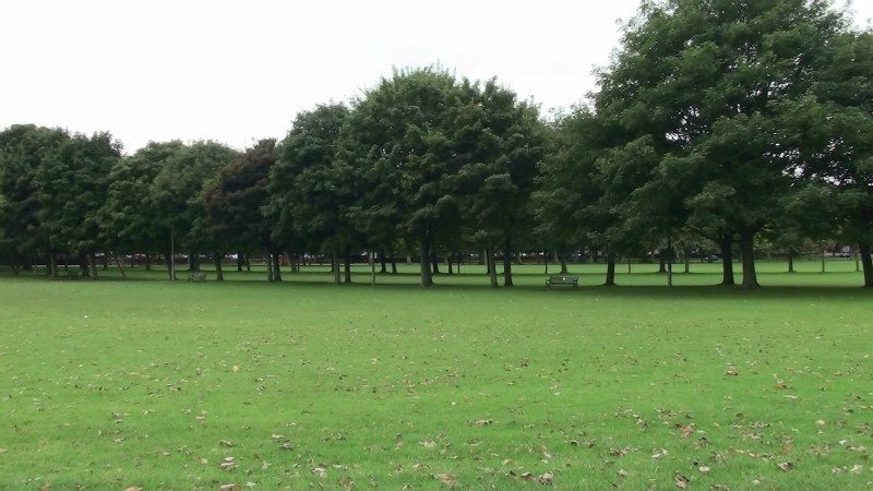 The Meadows,a lovely open green area in the city of Edinburgh