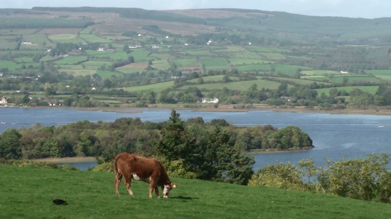 The rolling hills behind Lough Derg