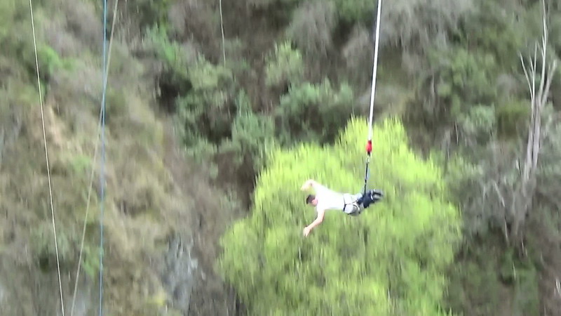 The first bungy bounce