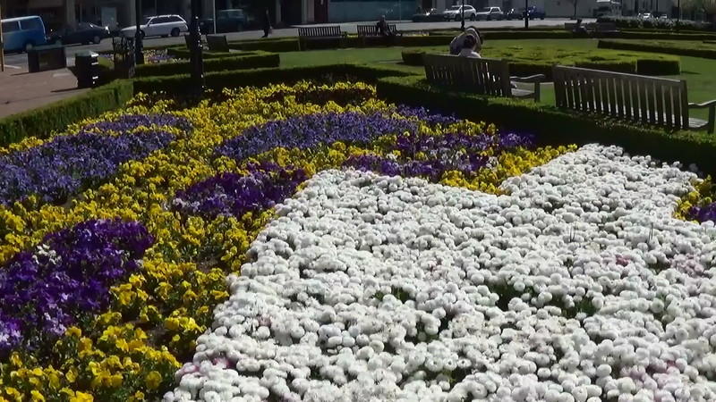 Blue and yellow is Otago !