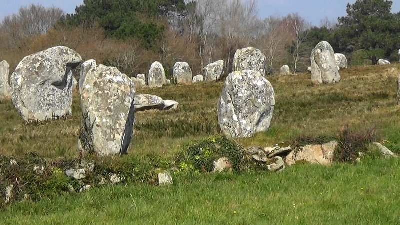 Close up fo the Carnac stones