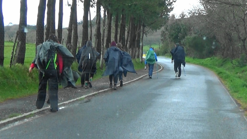 Pilgrims on the roadway