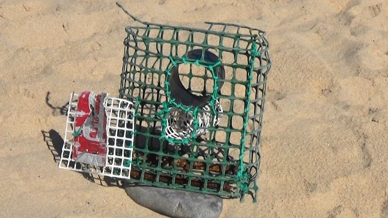 Fishing cage washed up,milfontes