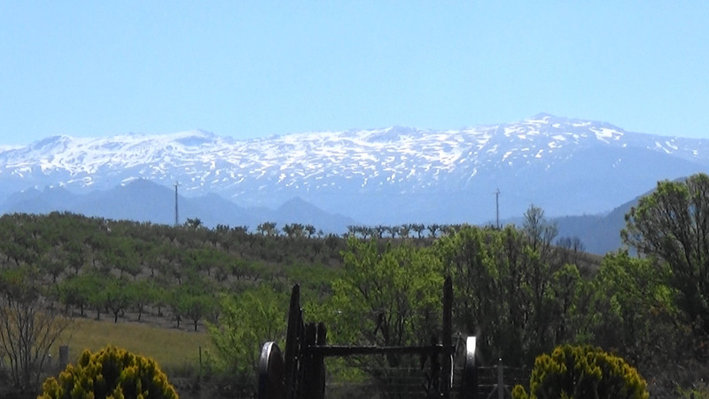 Evidence of Fridays snowfall on the Sierra Nevadas