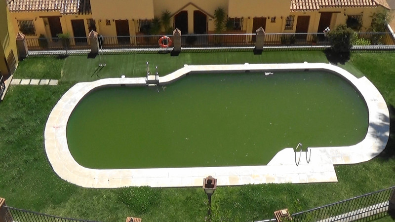 A green backyard swimming pool on our way down from the Alhambra