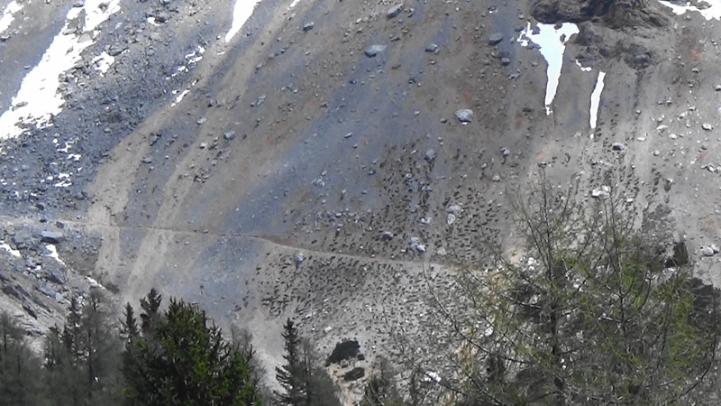 Trail across the rock landslide area