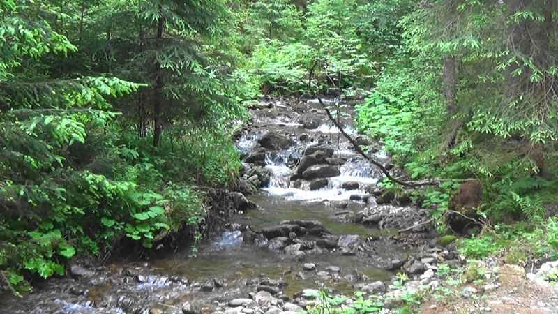 A babbling brook