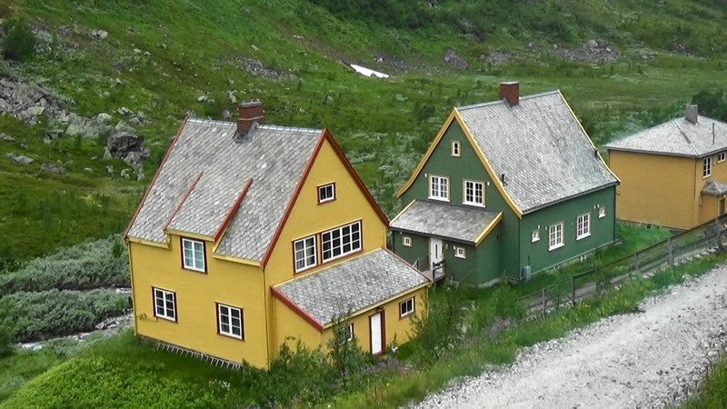 Houses along railway line at Myrdal,Flam railway