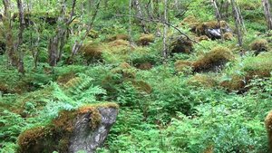 On the path to Stalheimsfossen