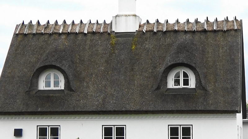 Close up of thatched roof,Denmark