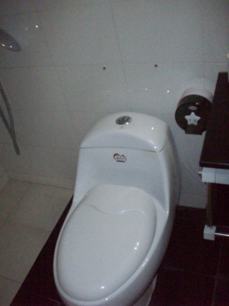Toilet-The botton on top is split in two for a big flush and a small one.