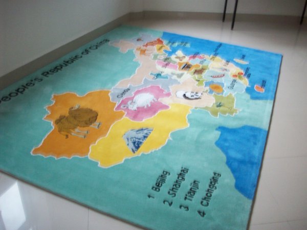 Map rug of Chinese Provinces in my room