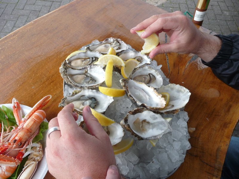 The oysters