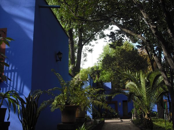 The garden courtyard of La Casa Azul