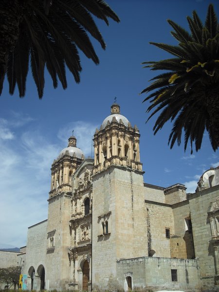 Church and palms in Oaxaca City