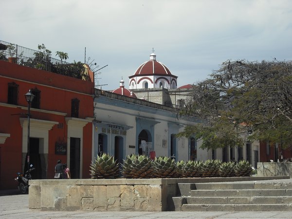 Beautiful view in Oaxaca City