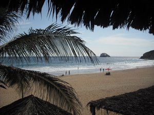 The view from our room in Zipolite