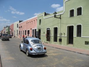 Colonial street and beetle