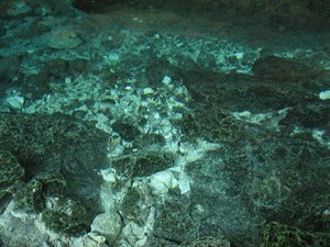 Clear water in the Cenote