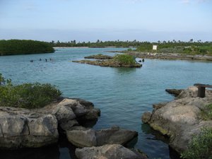 Yal-Ku Lagoon - where the fish grow