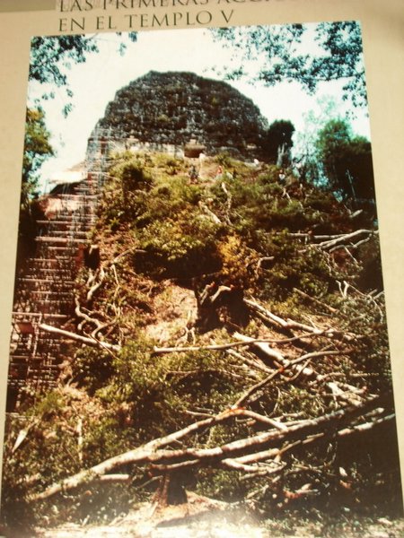A picture of a picture of how they started unearthing Temple V