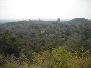 The view from Temple IV