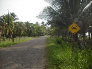 Australia has its share of funny road- signs - in the Corn Islands watch out for those crabs!