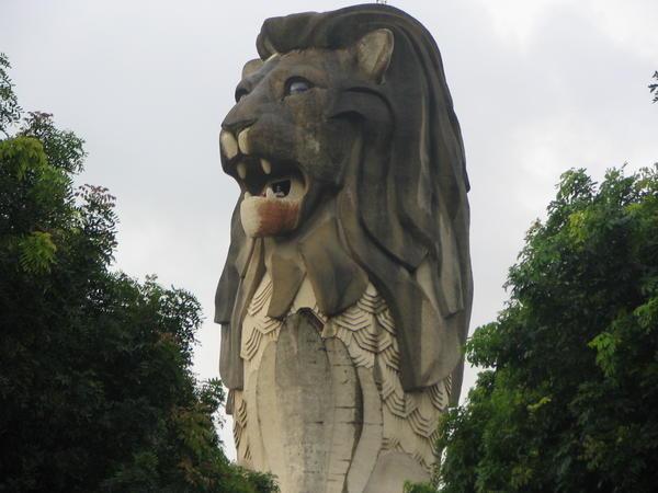 Merlion up close and personal