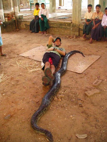Its a HUGE......snake