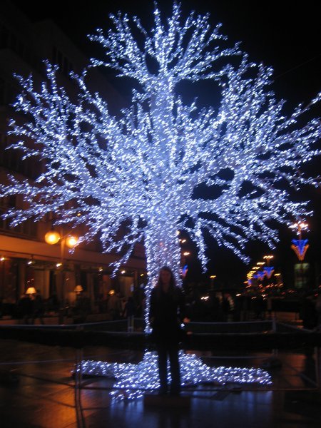 Tree near the mall