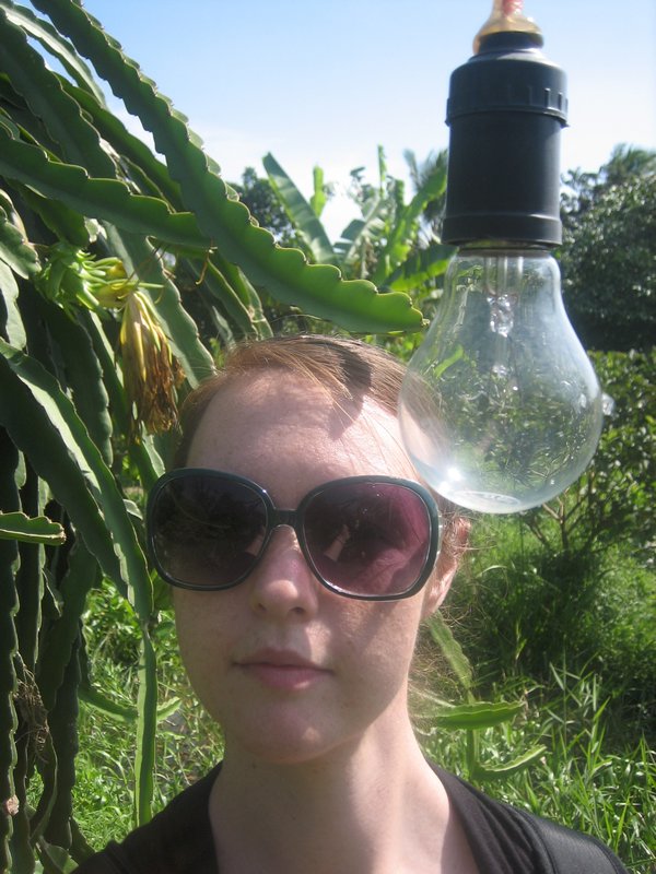 light bulbs in the jungle?