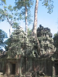 Angkor Wat doesn't stop the trees