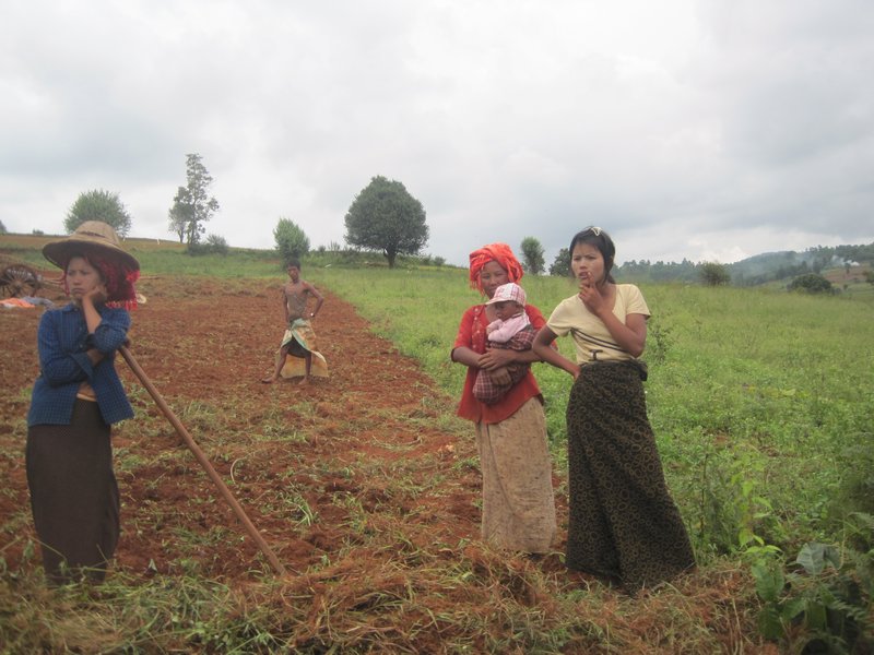 Burmese farmers