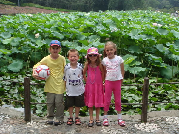 The kids at the lily pond