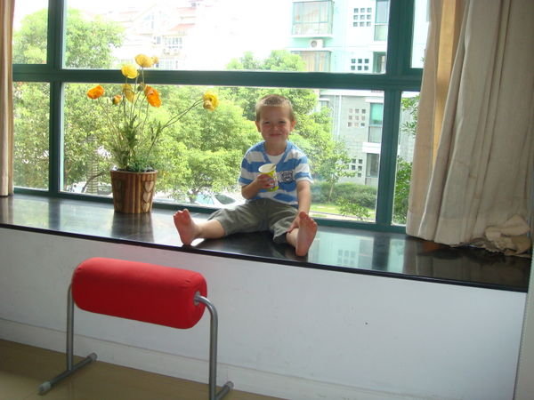 William on the lounge windowsill