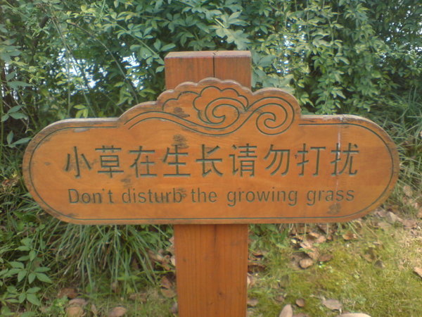 Sanctity for grass?