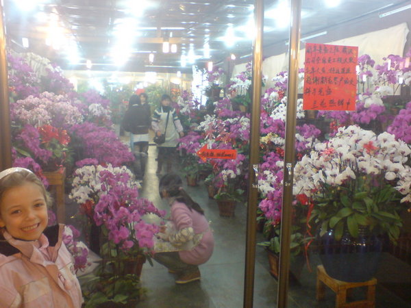 Beautiful orchids at the flower market