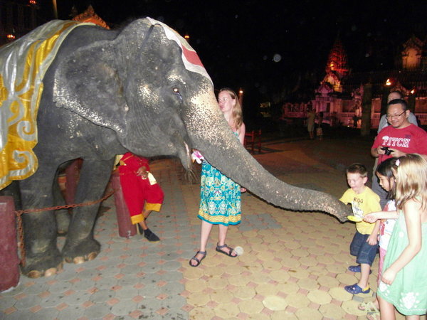 Feeding the elephant before their big performance