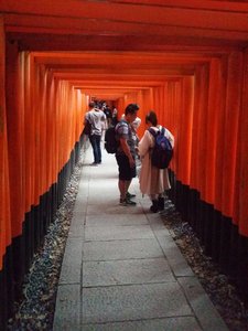 The Thousands of Torii Gates