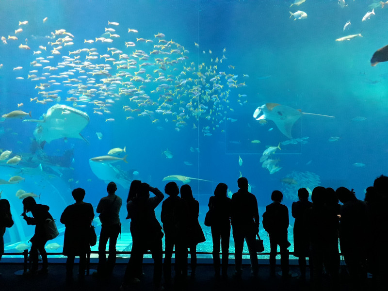 Churaumi Aquarium Okinawa 