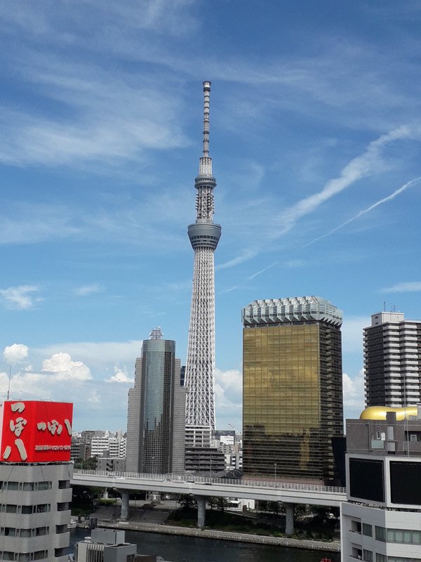 View of Tokyo Skytree 